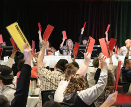 SGEU Governance Basics: Convention