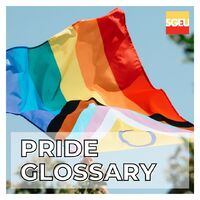 Pride Glossary