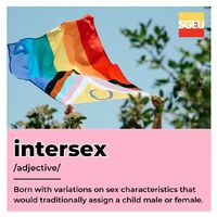 Intersex (adjective). Born with variations on sex characteristics that would traditionally assign a child male or female. (pp. 174-175)