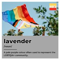 Lavender (noun). A pale purple colour often used to represent the LGBTQIA+ community. (p. 190)