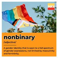 Nonbinary (adjective). A gender identity that is open to a full spectrum of gender expressions, not limited by masculinity and femininity. (p. 223)