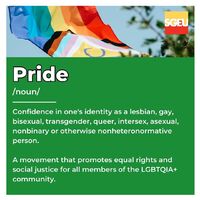 Pride (noun). Confidence in one's identity as a lesbian, gay, bisexual, transgender, queer, intersex, asexual, nonbinary or otherwise nonheteronormative person. A movement that promotes equal rights and social justice for all members of the LGBTQIA+ commu