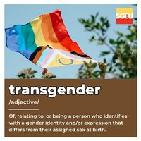 Transgender (adjective). Of, relating to, or being a person who identifies with a gender identity and/or expression that differs from their assigned sex at birth. (p. 299)