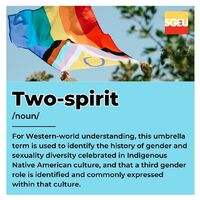 Two-spirit (noun). For Western-world understanding, this umbrella term is used to identify the history of gender and sexuality diversity celebrated in Indigenous Native American culture, and that a third gender role is identified and commonly expressed wi
