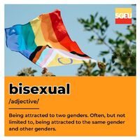 Bisexual (adjective). Being attracted to two genders. Often, but not limited to, being attracted to the same gender and other genders. (p. 42)