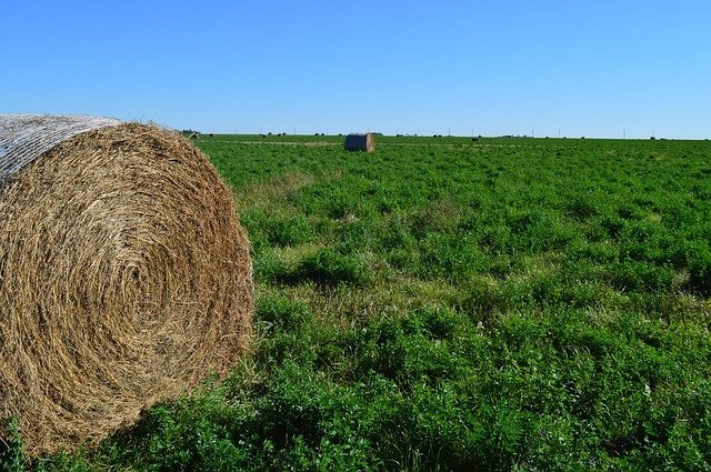 Defending the dignity and integrity of Saskatchewan professionals