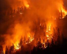 SGEU president calls for forest fire action from government