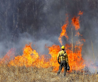 Government review of its own handling of wildfire crisis not good enough