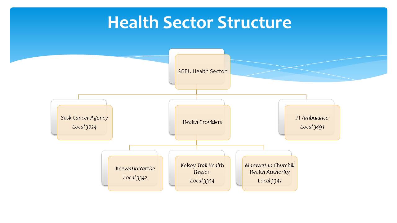 Saskatchewan Health Authority Organizational Chart